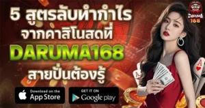 5 สูตรลับทำกำไรจากคาสิโนสดที่ DARUMA168 สายปั่นต้องรู้5 สูตรลับทำกำไรจากคาสิโนสดที่ DARUMA168 สายปั่นต้องรู้